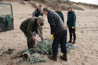 Saunton spring beach clean